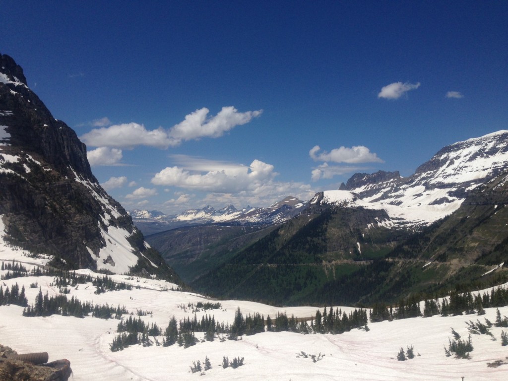 The view from Logan Pass.