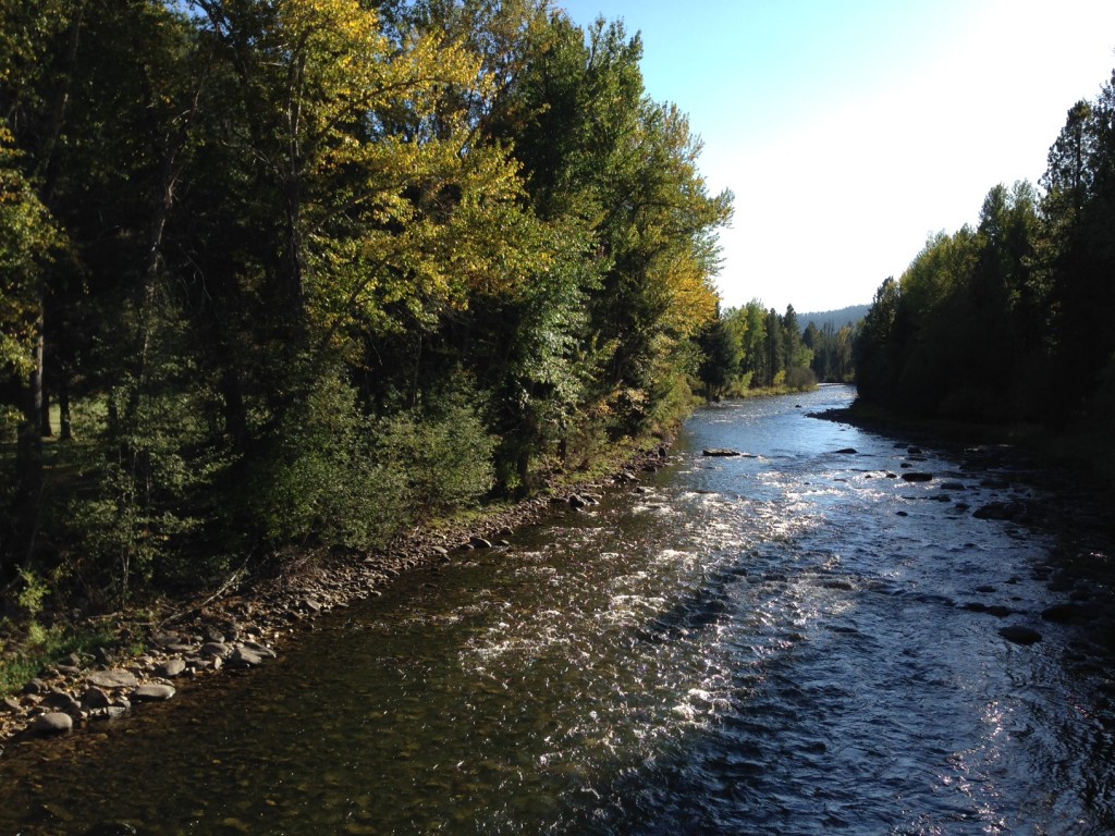 Fall foliage starting to change along the West Fork of the Bitterroot River.