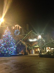 Christmas lights at night are magic. 