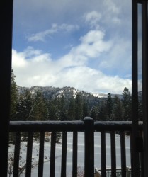 The view from one of the bedrooms in the Ponderosa Cabin. 