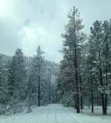 Winter perfection along West Fork Road. 