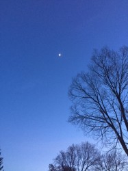 Blue sky in the winter is good for my soul.