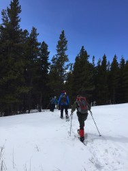 Halfway through our hike, we were met with a blue sky and sunshine.