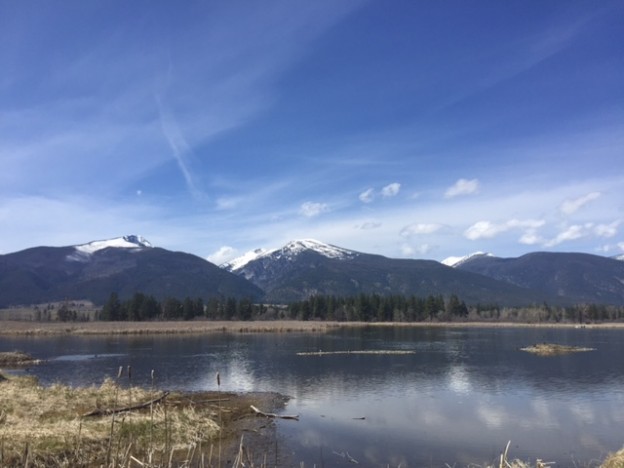 20 Spring Adventures in Montana’s Glacier Country