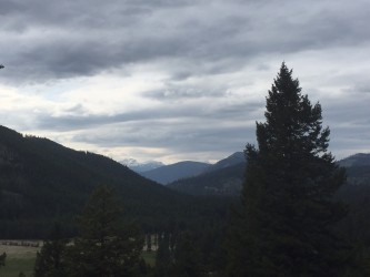 A stunning view along a long Forest Service Road. 