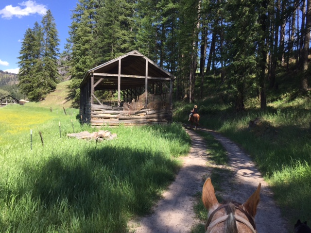 Our two-hour trail ride went through meadows, along a river and around a mountain lake. 
