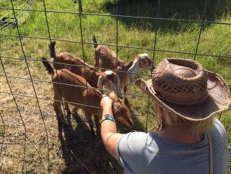The goats and I quickly became BFFs. 