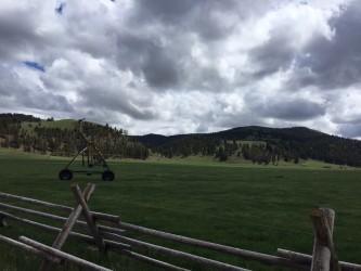 One of the meadows at the ranch. 