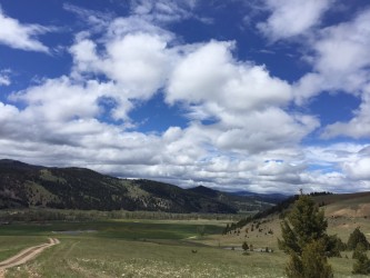 The view of the ranch. 