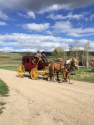 We caught a ride to the barn dance in this old-fashioned stage coach. 