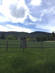 I spent a lot of time at this pasture. The reason: the brand new colt that made its debut two days before my arrival. 