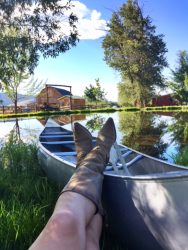 I took advantage of the shade and tranquility by the pond. 