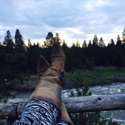 My favorite spot at Cliffside Camp overlooked the Blackfoot River. 