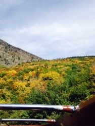 Fall colors from a red bus tour 