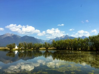 A perfect reflection in the Mission Valley. 