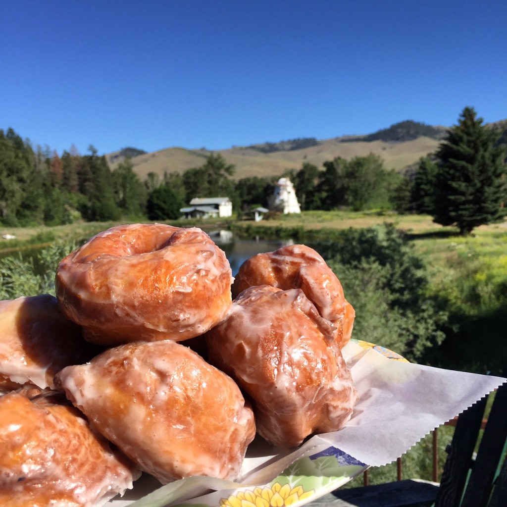 Fresh, warm donuts. 