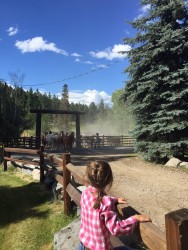 Watching the horses come in at Flathead Lake Lodge. 