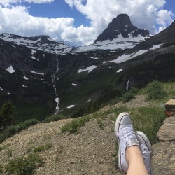 Taking in the view from just below Logan Pass. 