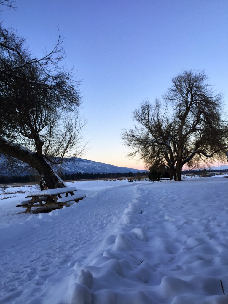 Complete stillness at the refuge. 