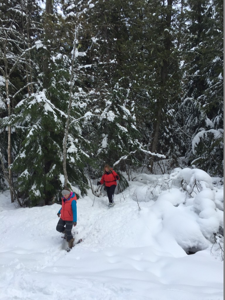 Exploring untouched snow. 