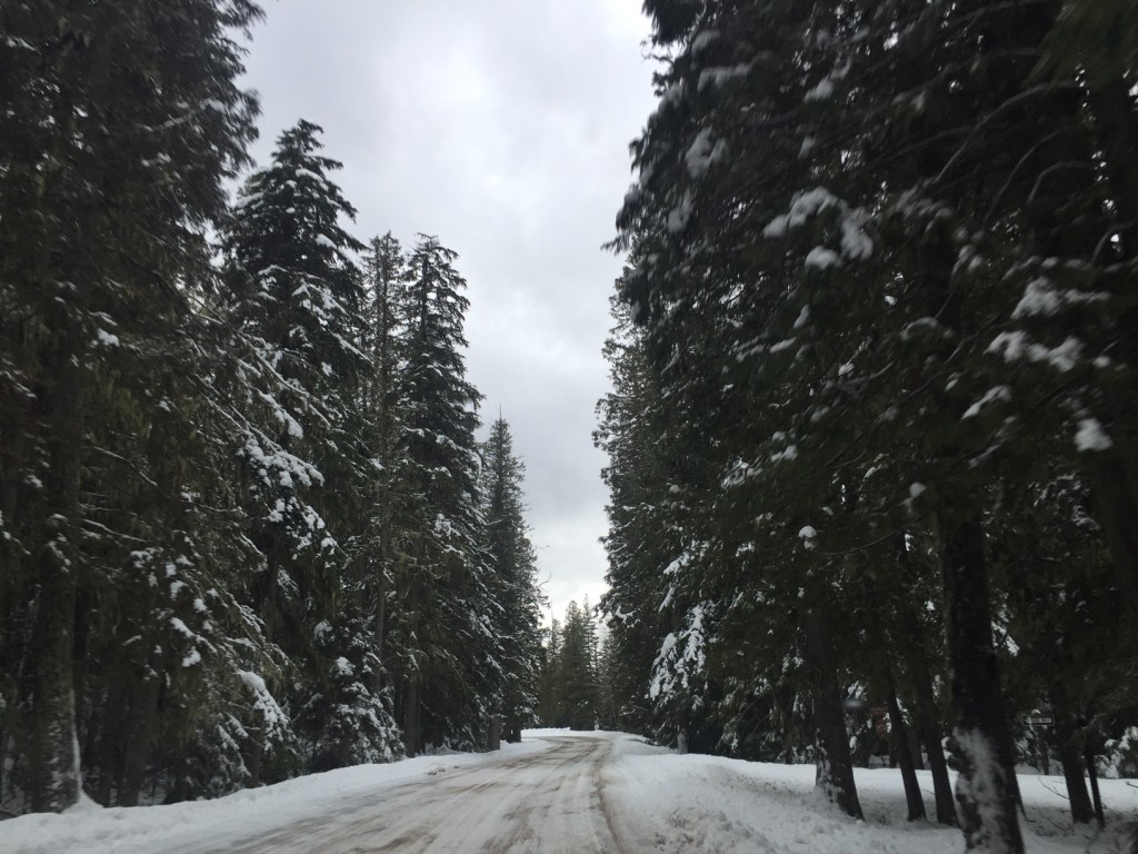 En route to Lake McDonald Lodge, the starting point of our snowshoe trek. 