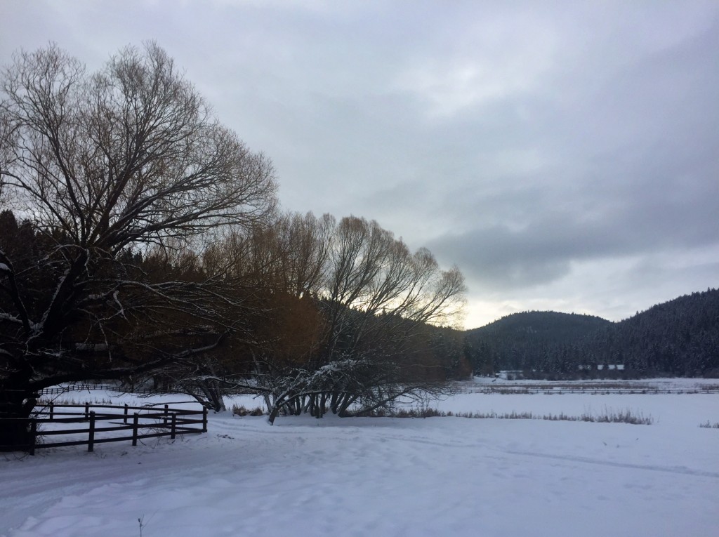 A peaceful morning at Bar W Guest Ranch. 