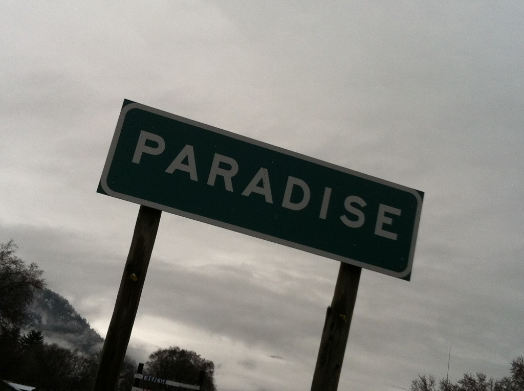 Oh hey, Paradise. 