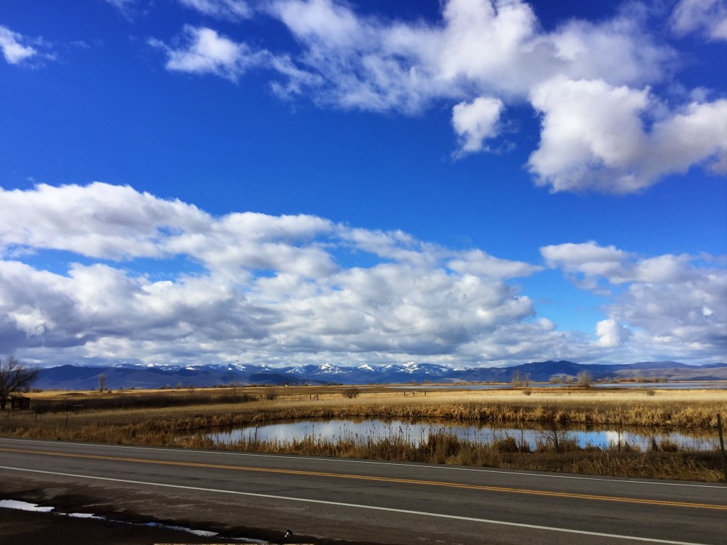 Hello, Ninepipes Wildlife Refuge. 