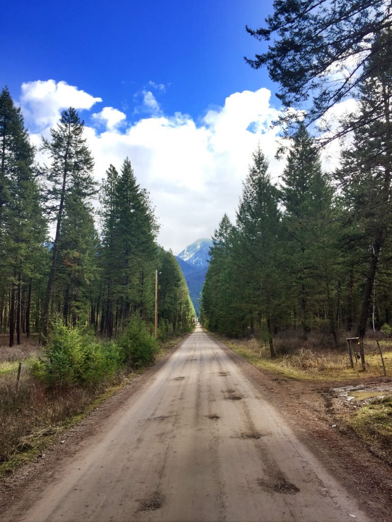 Pro Montana tip: if you see a backroad, take it. 