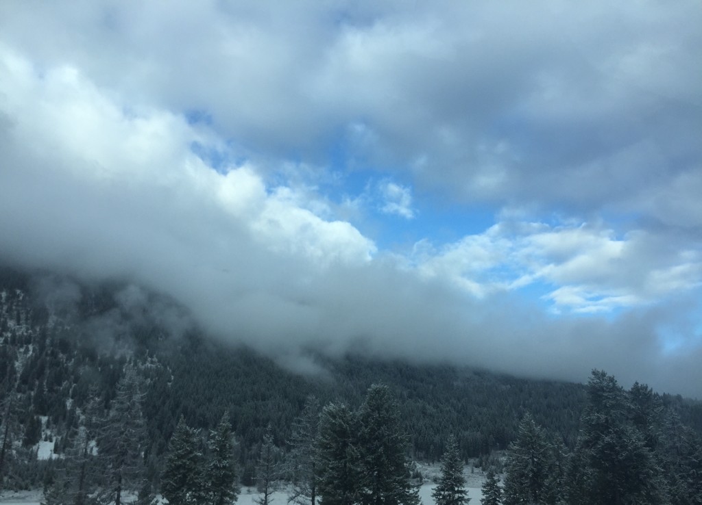 Fresh snow dusted the trees in the Lolo National Forest. 