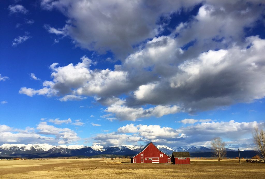 When traveling through Montana, you're more than likely to encounter several barns along the way. In a way, they almost become part of the landscape while still having their own stories to tell. 