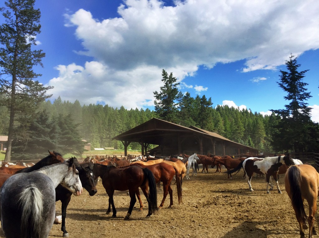 Spring at Flathead Lake Lodge. 