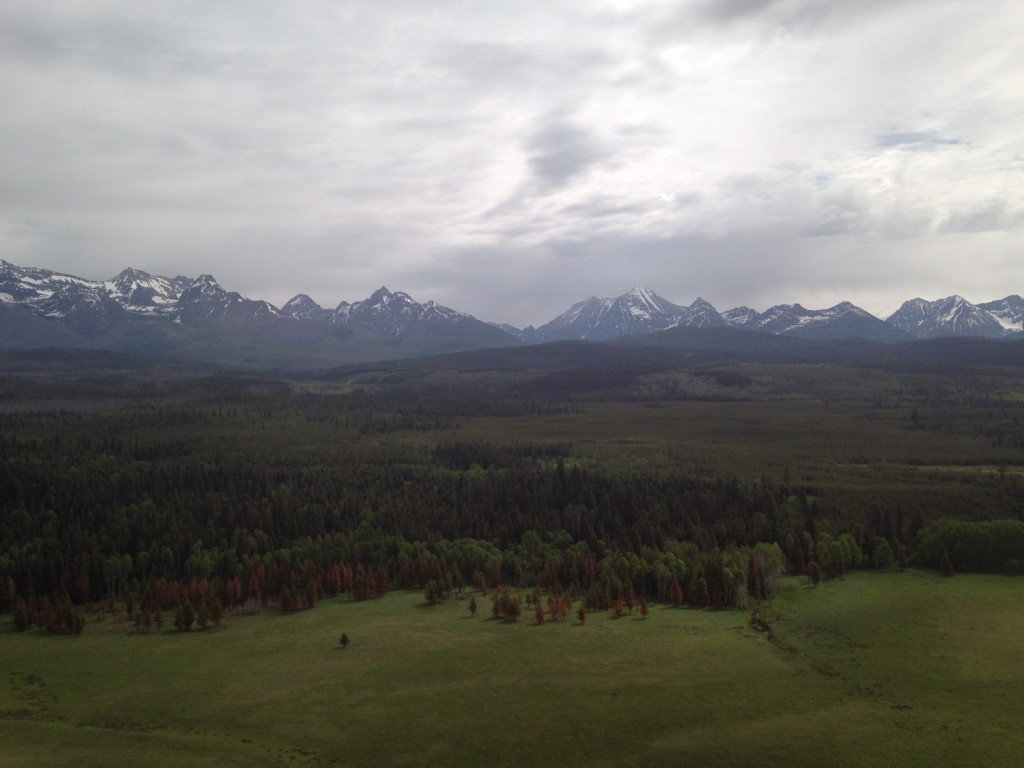 Oh hello, Glacier National Park. 