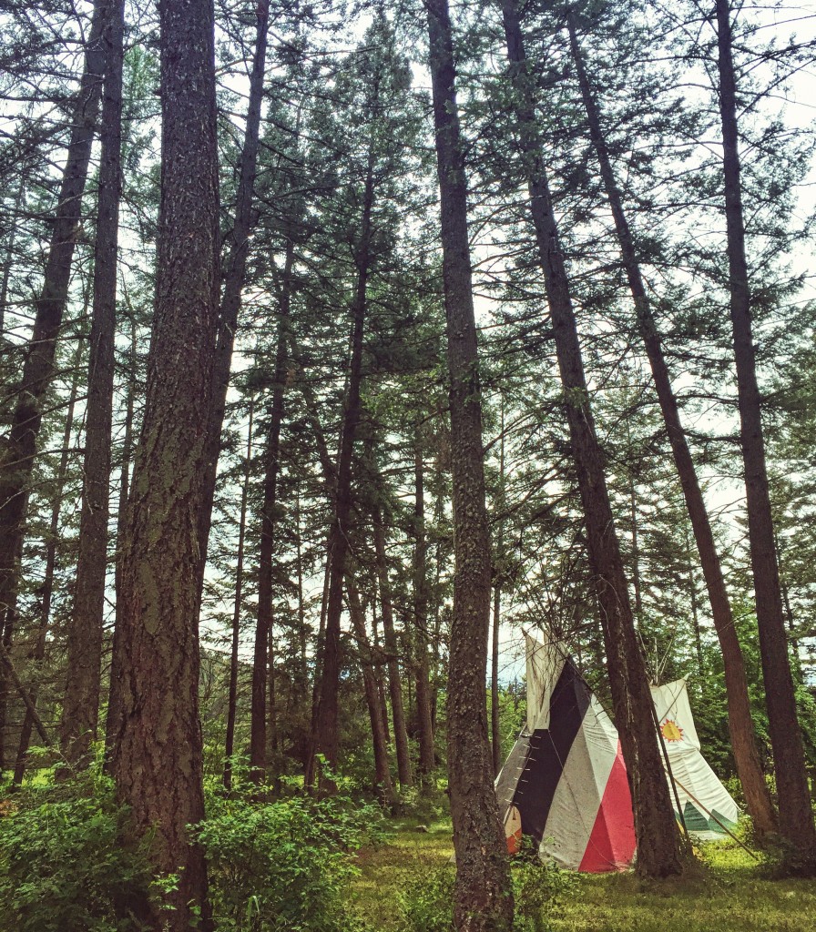 A tipi in the woods at Flathead Lake Lodge. 