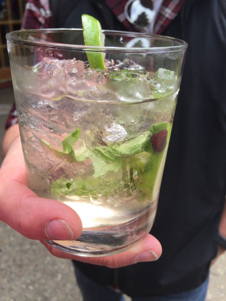 Yep, those are indeed huckleberries in that drink. 