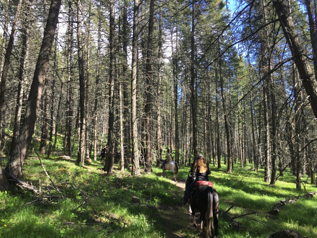 Riding through the woods. 