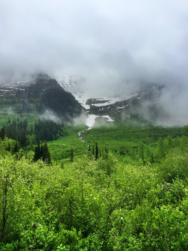 This view during spring can only be seen by hikers and bikers on the Going-to-the-Sun Road. 