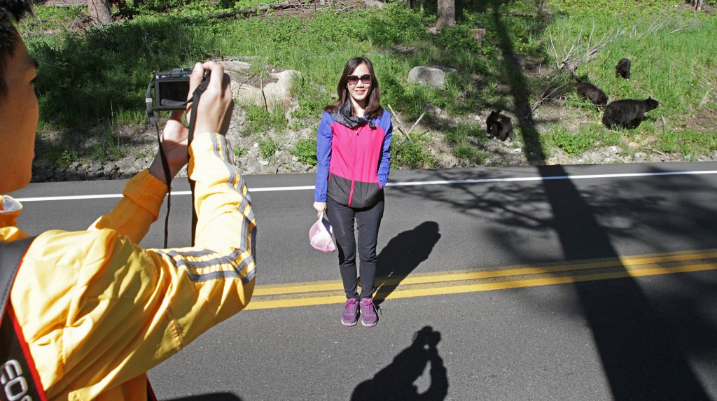 This visitor is WAY TOO CLOSE to the bears. Photo: YNP Flickr 