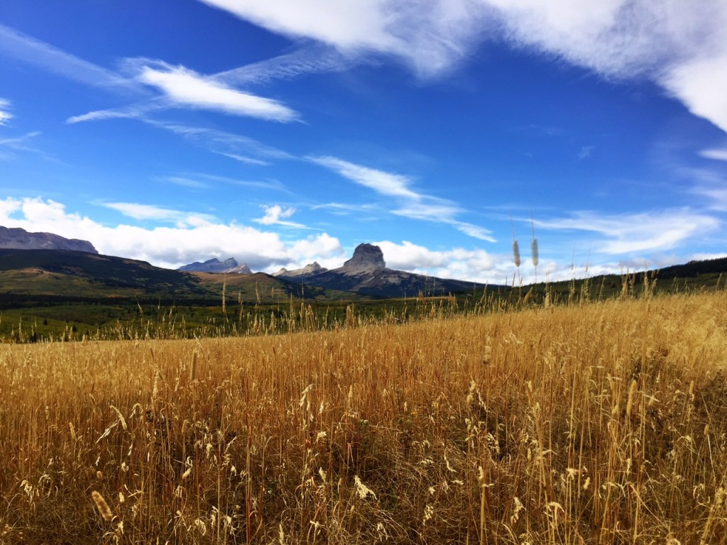 Before dinner in Babb, be sure to drive and take a look at Chief Mountain. 