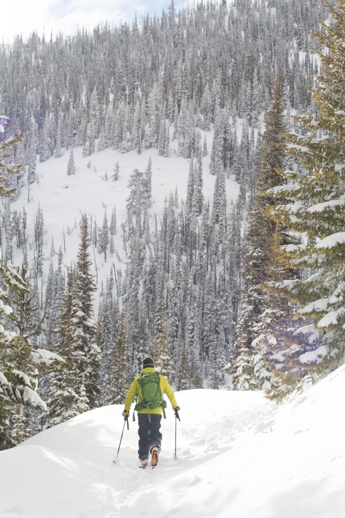 Skiing on trails in the backcountry of the Swan Mountains. Photo: WME 