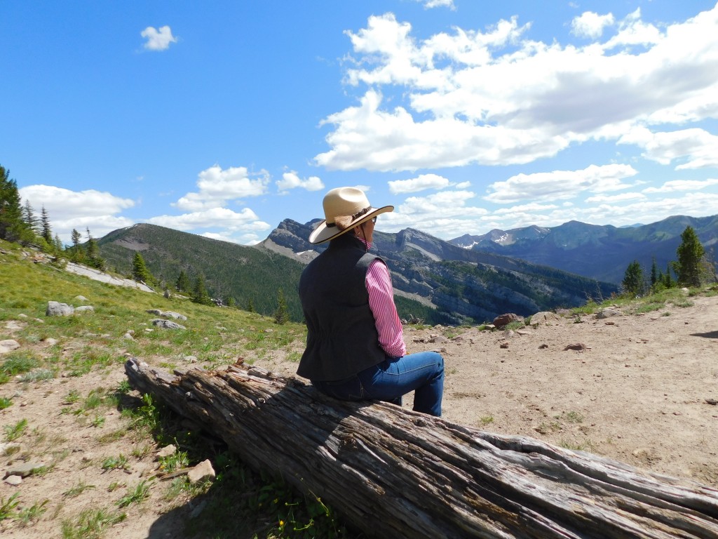 Janet, an avid horsewoman and perhaps one of the loveliest gals ever, checking out the view of the Flathead Alps from White River Pass.