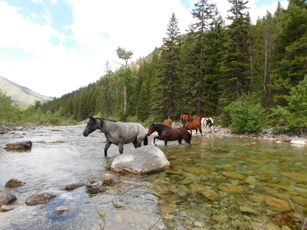 Crossing White River. 