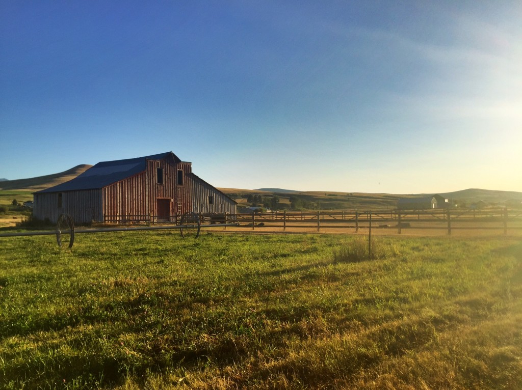 To me, farms and ranches are Montana. 