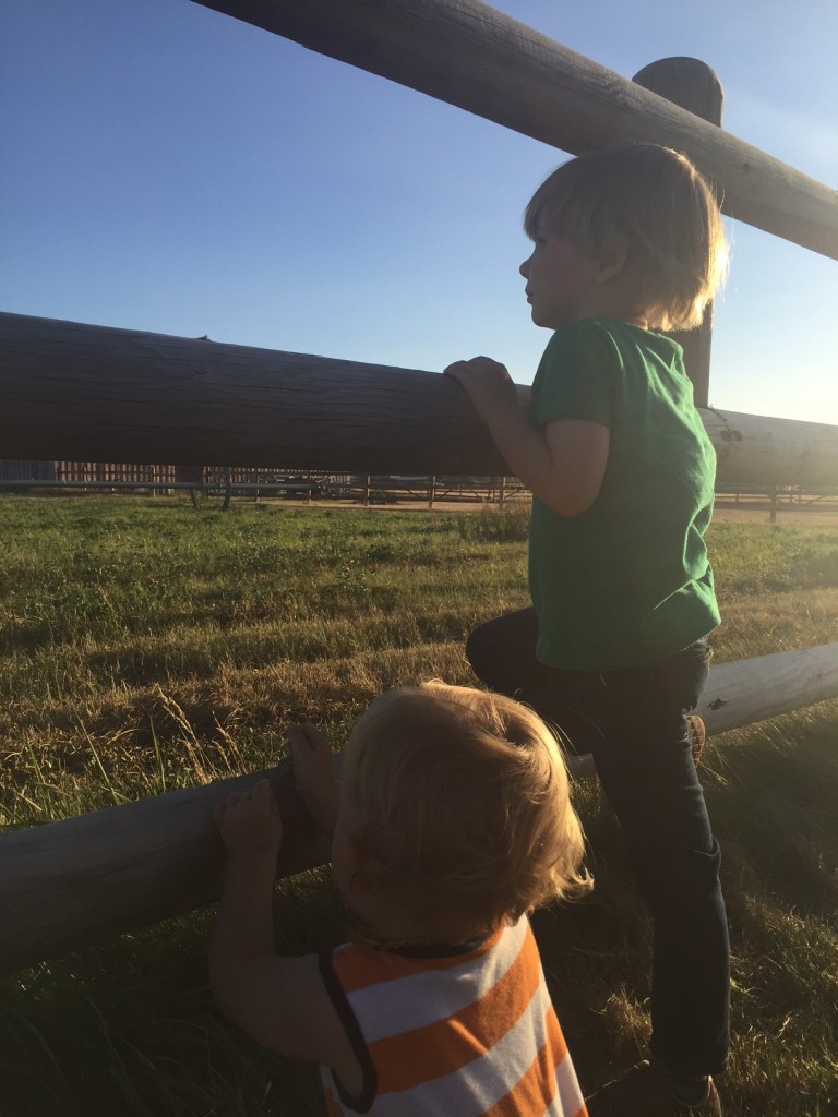 The boys taking in the view. 