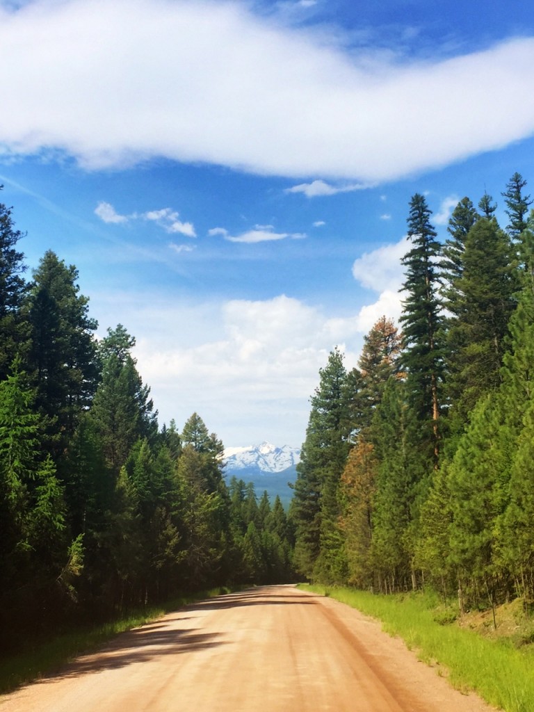 Driving Montana's country roads is something I highly recommend when visiting Big Sky Country...because of views like this. 