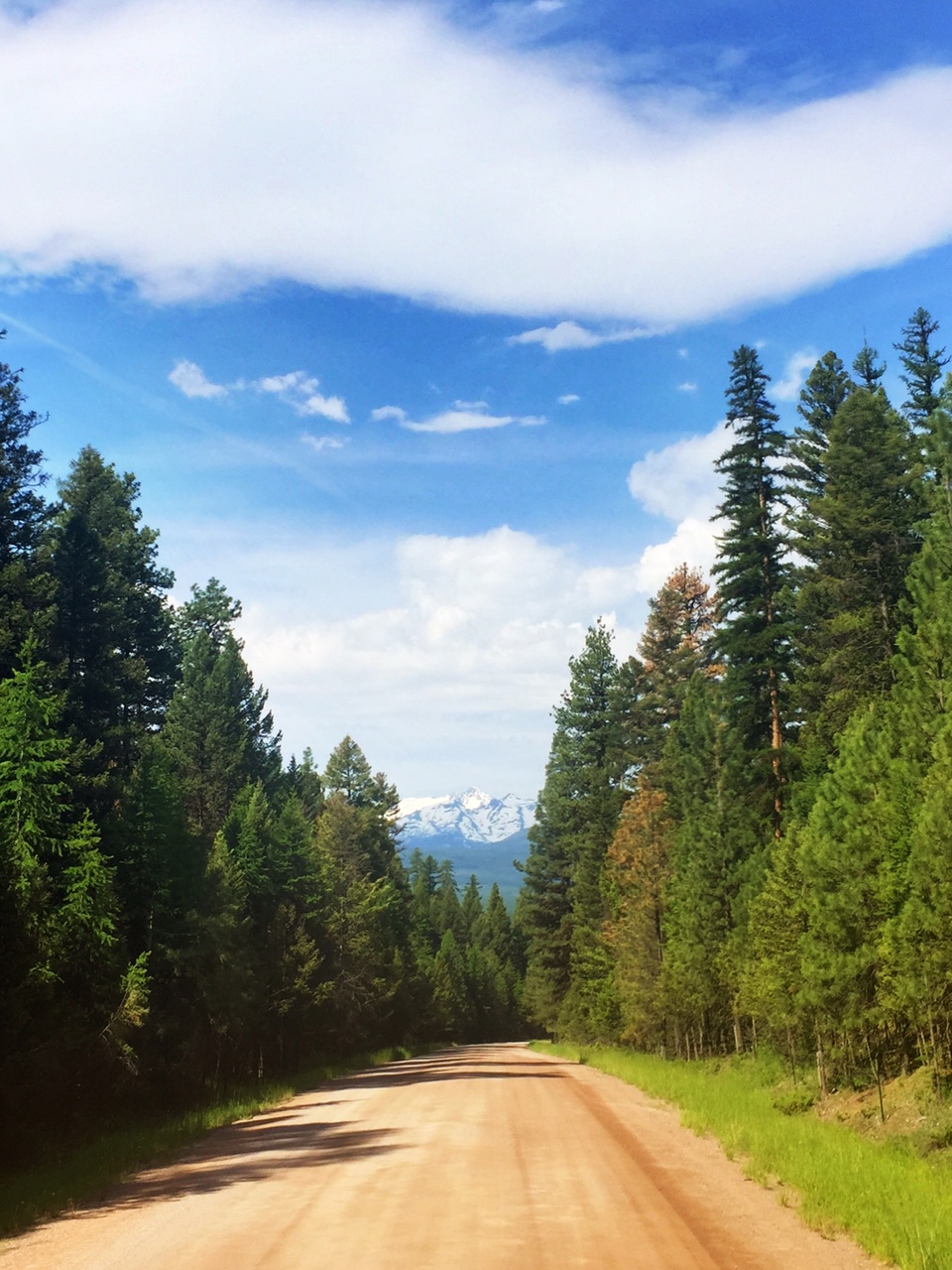25 Photos from Summer in Montana | The Official Western Montana Travel