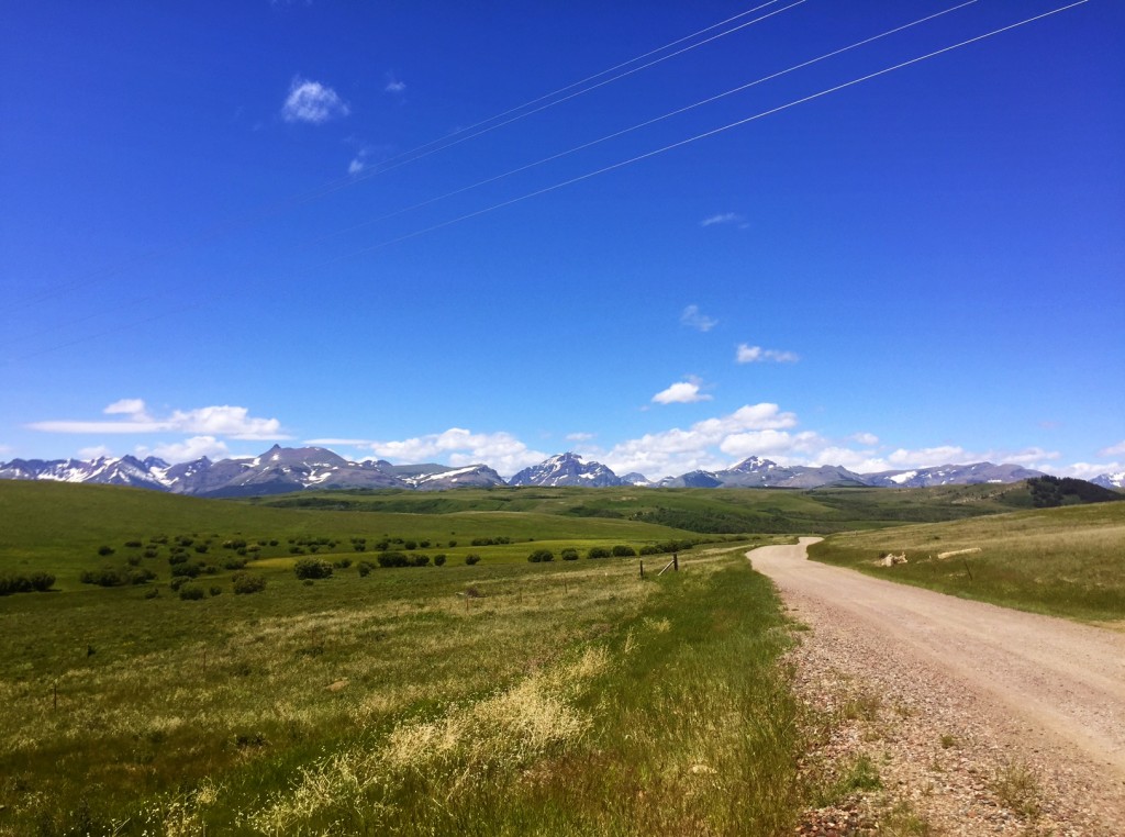 This view is just off Highway 2 between East Glacier Park and Browning. 