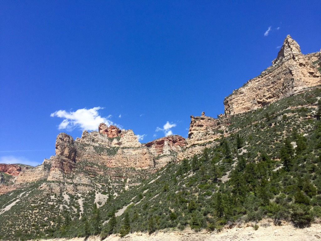Visiting Bighorn Canyon in the southeast corner of Montana was the highlight of June. 