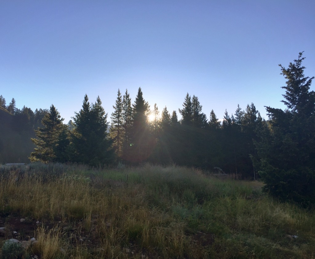 Morning light at Benchmark Trailhead.