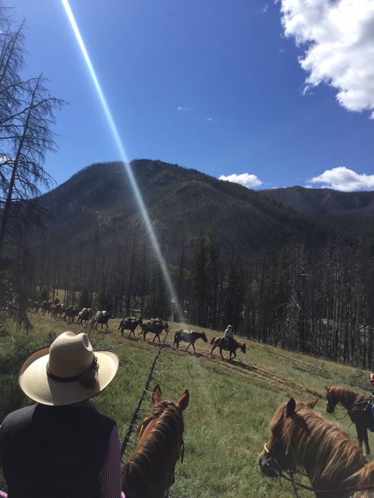 At our mid-morning break, the pack strings passed us. Those mules can MOVE. 